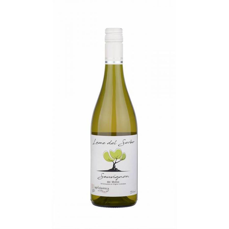 Sauvignon del Molise Lame del Sorbo 2019 - Agricolavinica