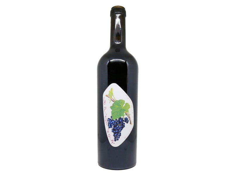 Pinot noir Les cailloux du paradis soings en sologne