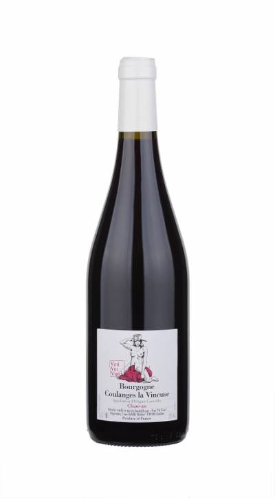 Bourgogne rouge coulanges la vineuse chanvan Vini viti vinct avallon