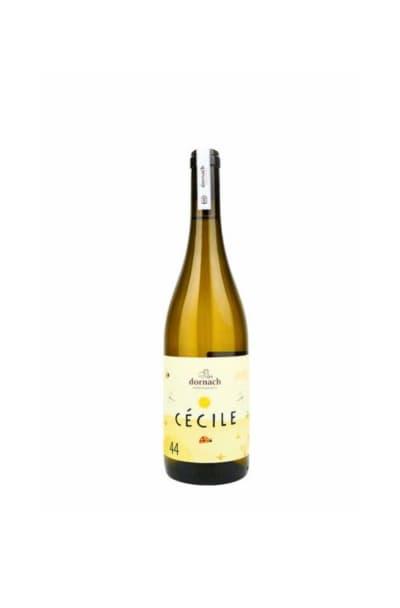 Cecile bianco Dornach Patrick uccelli salorno bz