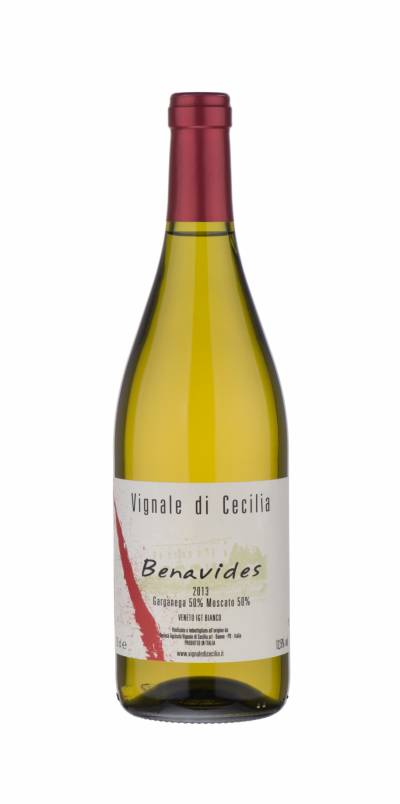 Benavides – Vignale di Cecilia