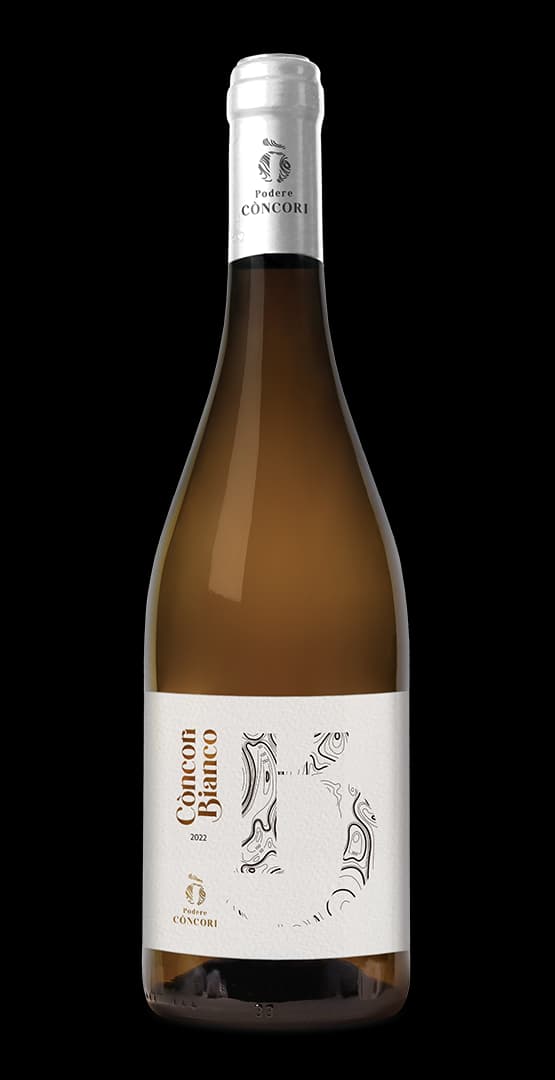 Bianco Podere concori gallicano lu