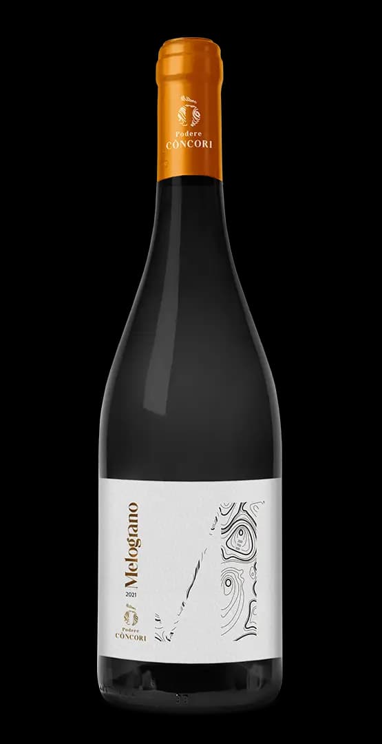 Melograno Podere concori gallicano lu
