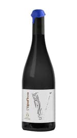 Vigna piezza Podere concori gallicano lu