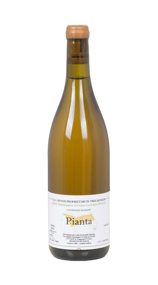 Etna Bianco Pianta 2018 - Ciro Biondi