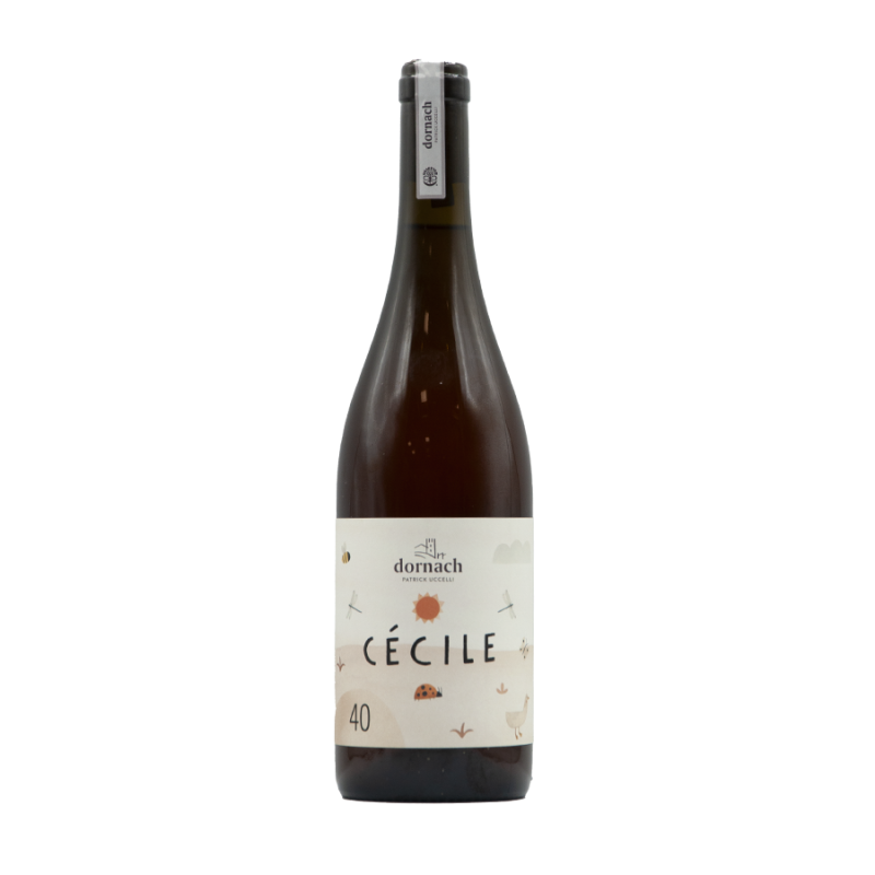 Cecile Souvignier Gris Mitterberg IGT 2022 - Dornach Patrick Uccelli