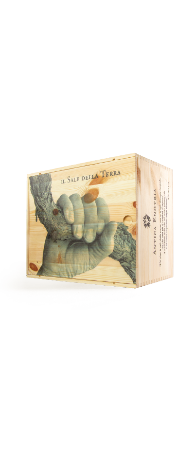 Il Sale della Terra Nero di Troia Puglia IGT in Cassa di Legno - Antica Enotria