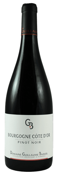 Bourgogne Côte d'or ABC Pinot Noir - Domaine Guillaume Baduel