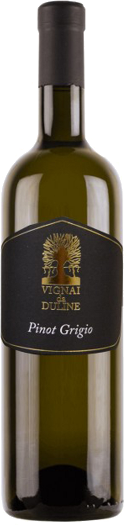 Pinot Grigio DOC Ronco Pitotti 2020 Bianco - Vignai da Duline