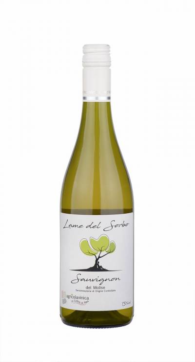 Sauvignon del Molise Lame del Sorbo 2019 - Agricolavinica