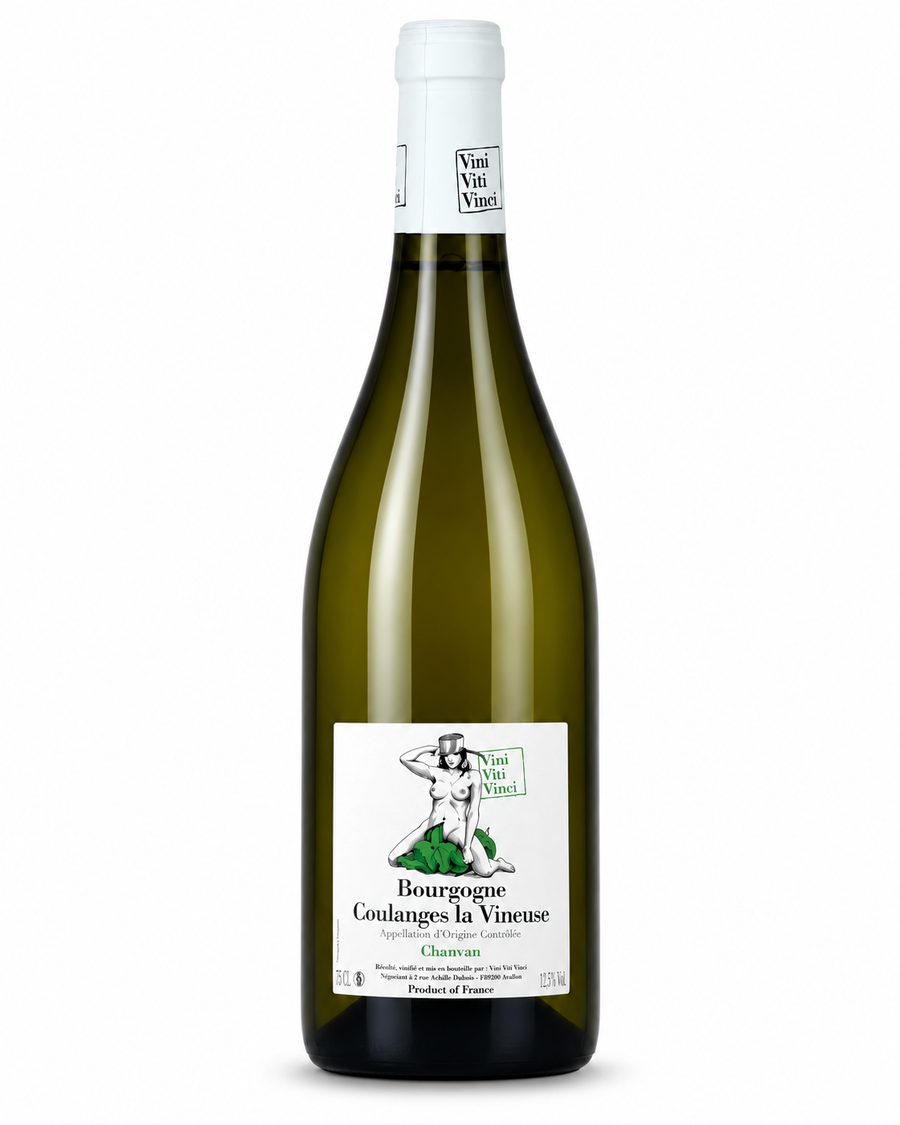 Bourgogne Coulanges la Vineuse AOC Chanvan Blanc - Vini Viti Vinci