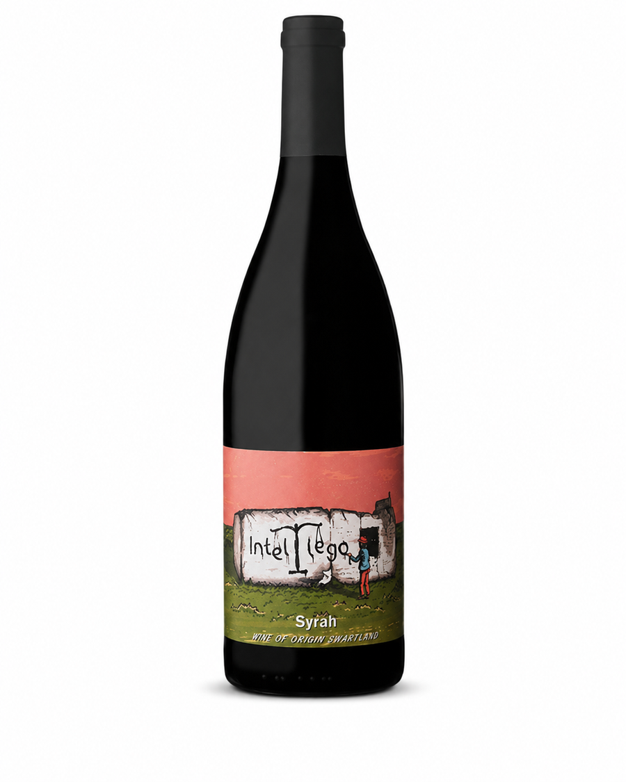 Syrah red wine South Africa - Intellego Wines