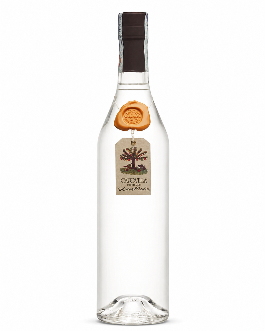 Grappa Ribolla Capovilla Gravner