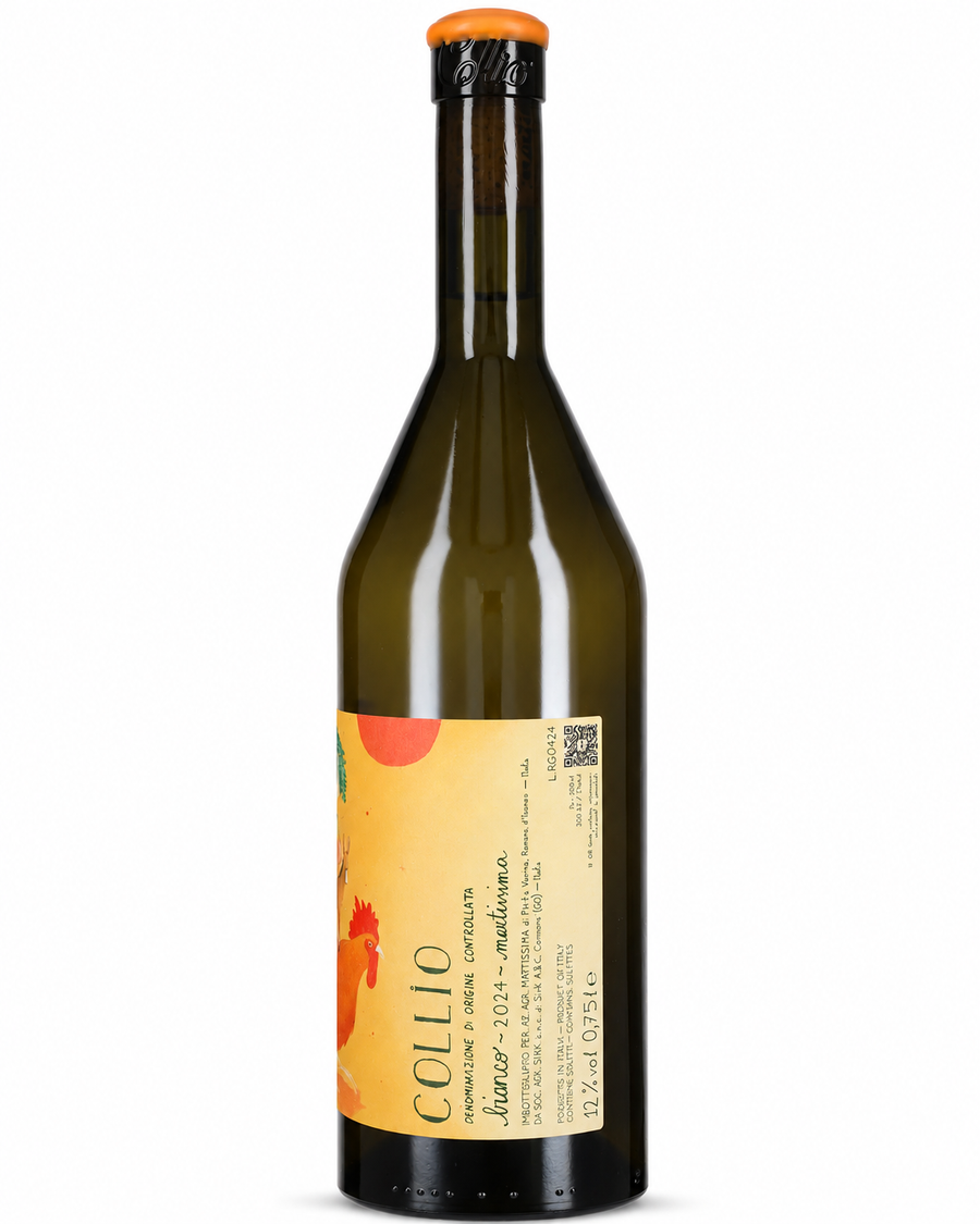 Collio DOC Bianco 2024 - Martissima