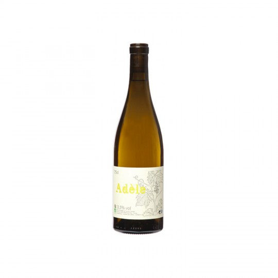Adele Sud ovest laurent cazottes gaillac