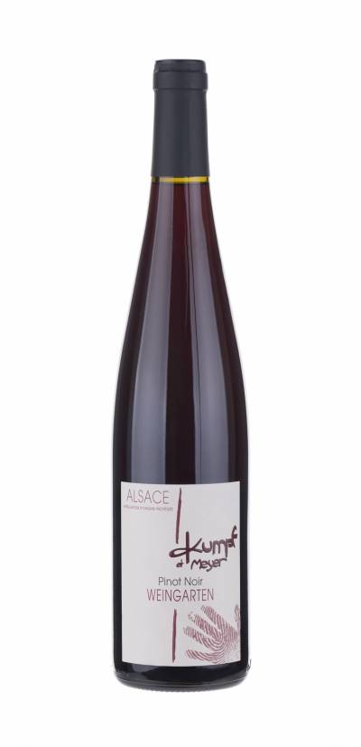 Pinit noir weingarten Alsace domaine kumpf et meyer rosheim