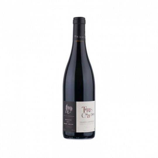 Saumur champigny terres chaudes  Domaine des roches neuves saumur