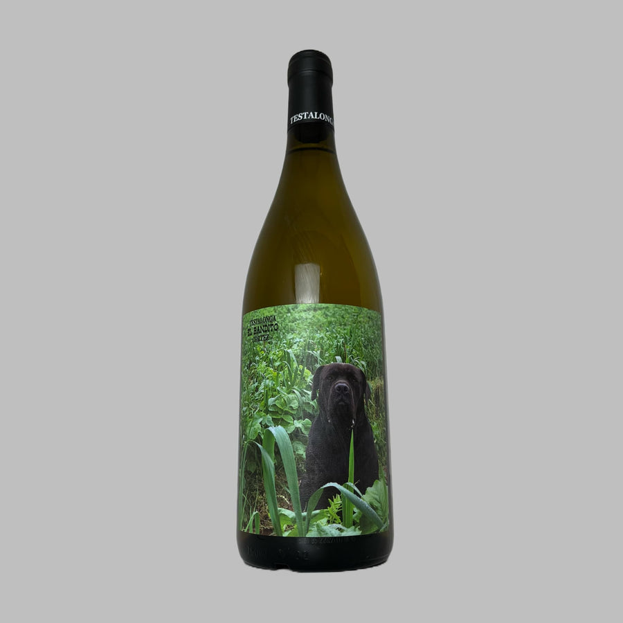 El bandito cortez Testalonga swartland