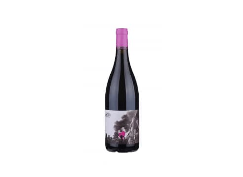 Baby bandito chin up Testalonga swartland