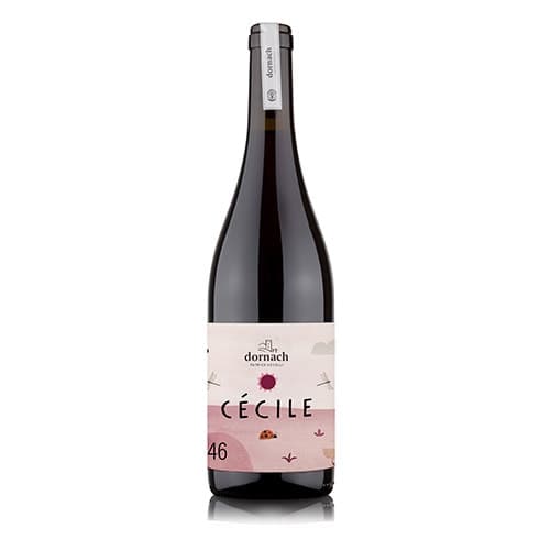 Cecile rosso Dornach Patrick uccelli salorno bz