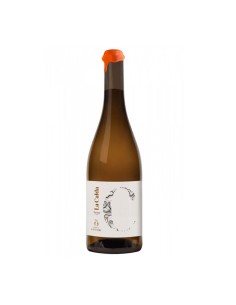 La calda Podere concori gallicano lu