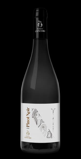 Pinot noir Podere concori gallicano lu