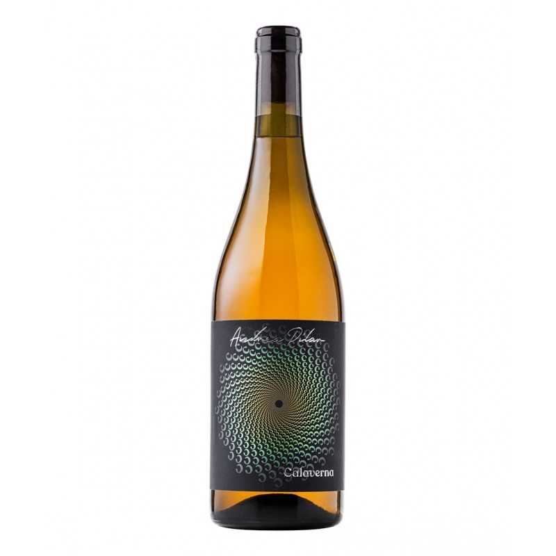 Calaverna Andrea pilar umbertide pg